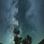 18837889095a的头像-辰夕小站