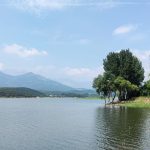 AB157953的头像-辰夕小站