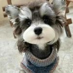 leolange的头像-辰夕小站